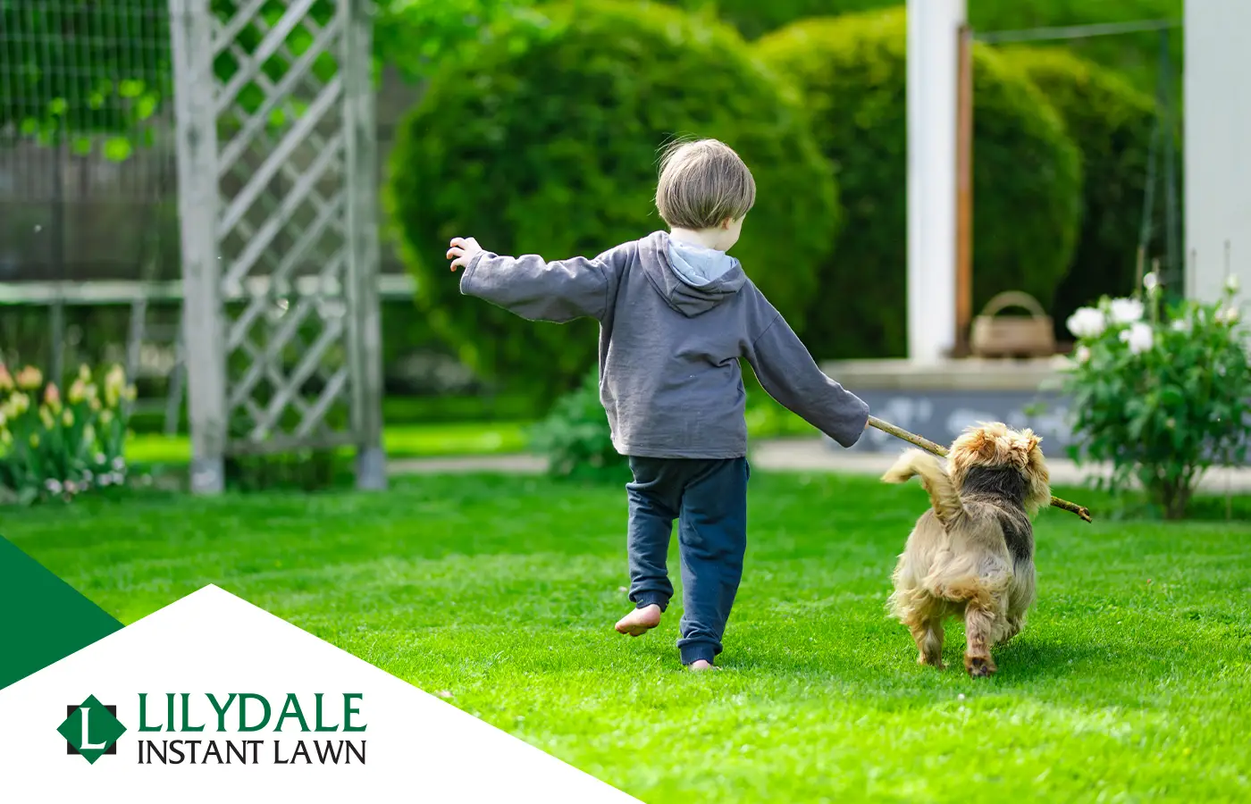 best grass for kids hero