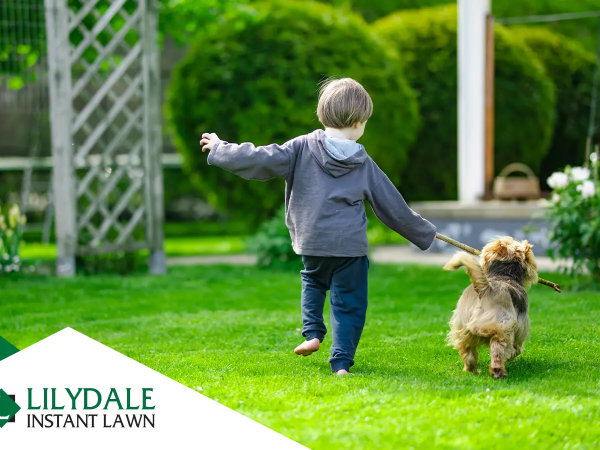 best grass for kids hero