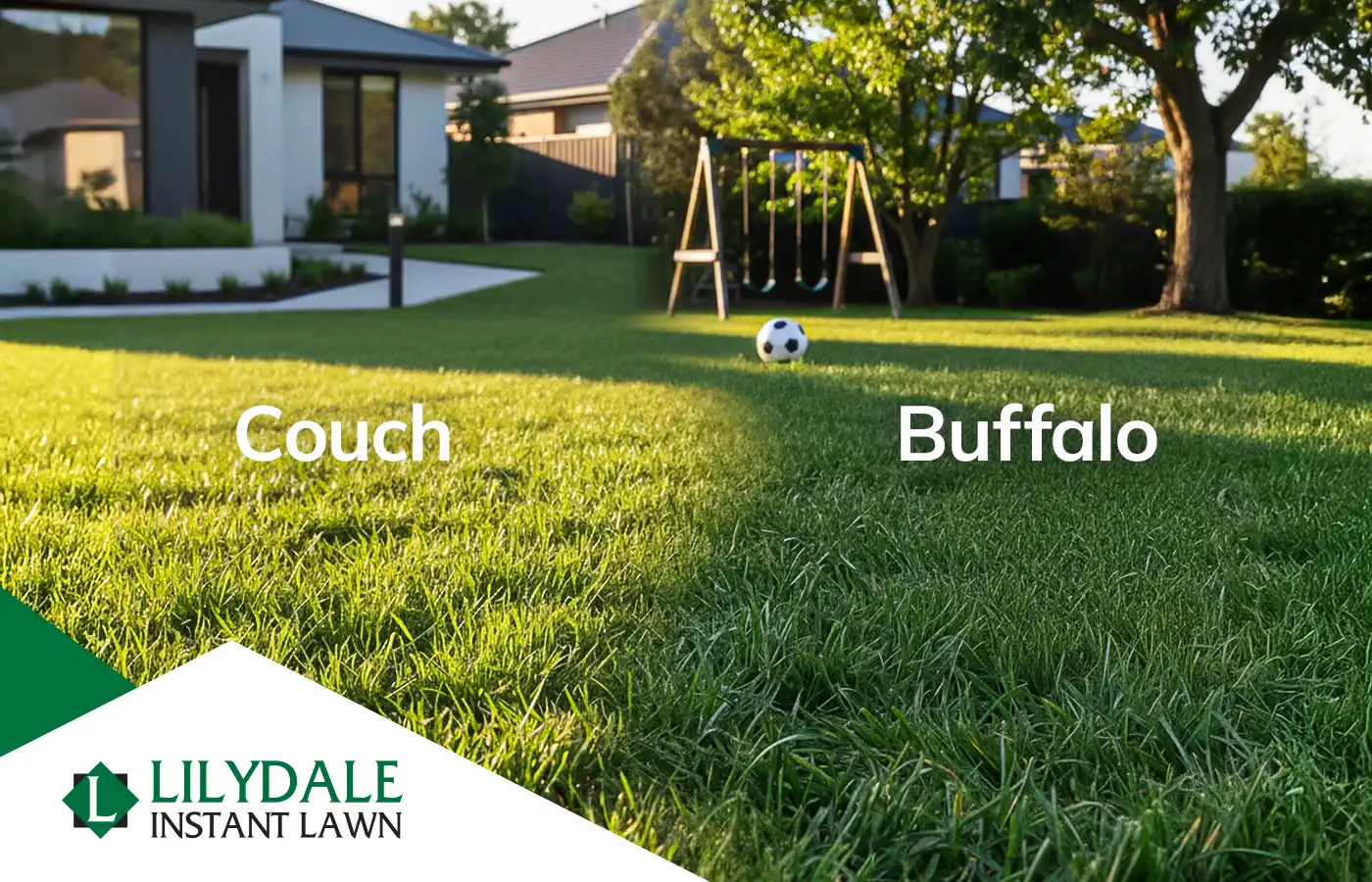 buffalo vs couch hero