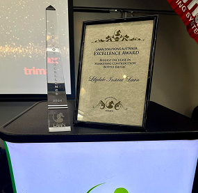 excellence award certificate and trophy
