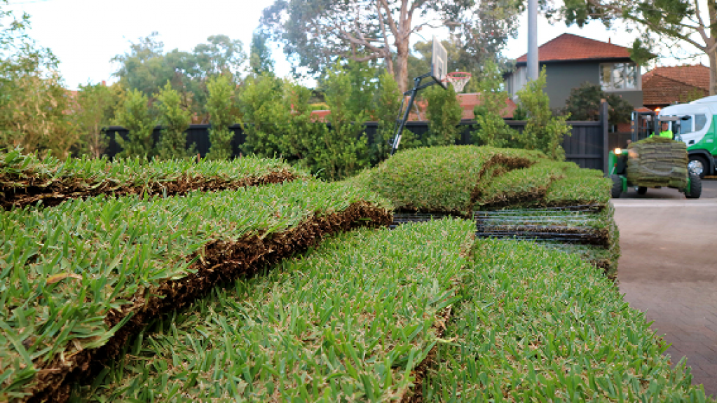 Fresh turf rolls stacked on a residential driveway