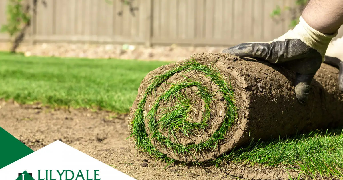 Turf Rall How Many Turf Rolls Do I Need? | Turf Calculation Guide