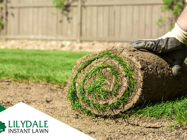 how many rolls of turf do i need hero