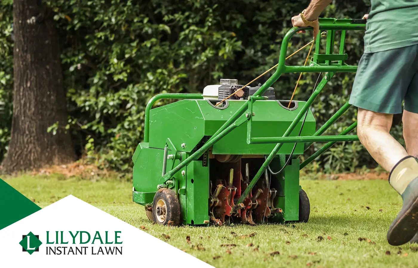 Person using a lawn aerator machine on green grass to improve soil drainage, with Lilydale Instant Lawn logo in the corner.