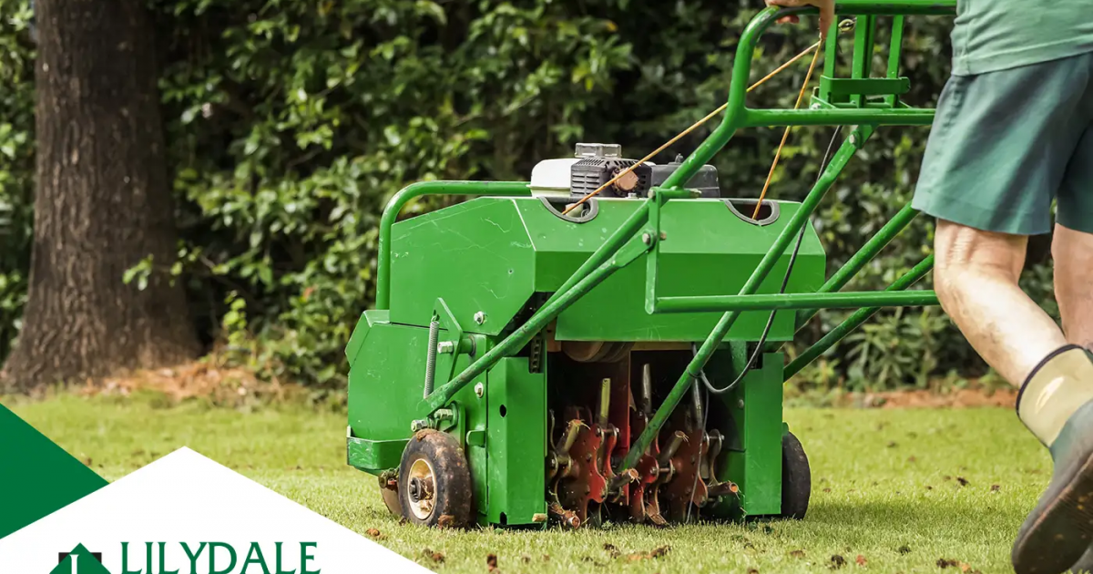 How to Improve Lawn Soil: Tips for Healthy Drainage