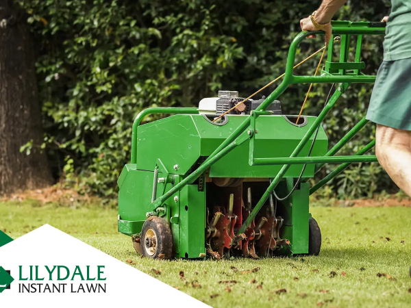 Person using a lawn aerator machine on green grass to improve soil drainage, with Lilydale Instant Lawn logo in the corner.