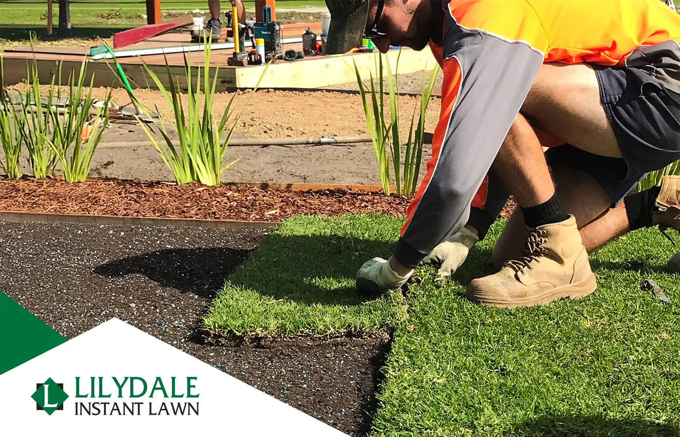 how to roll turf hero