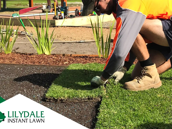 how to roll turf hero