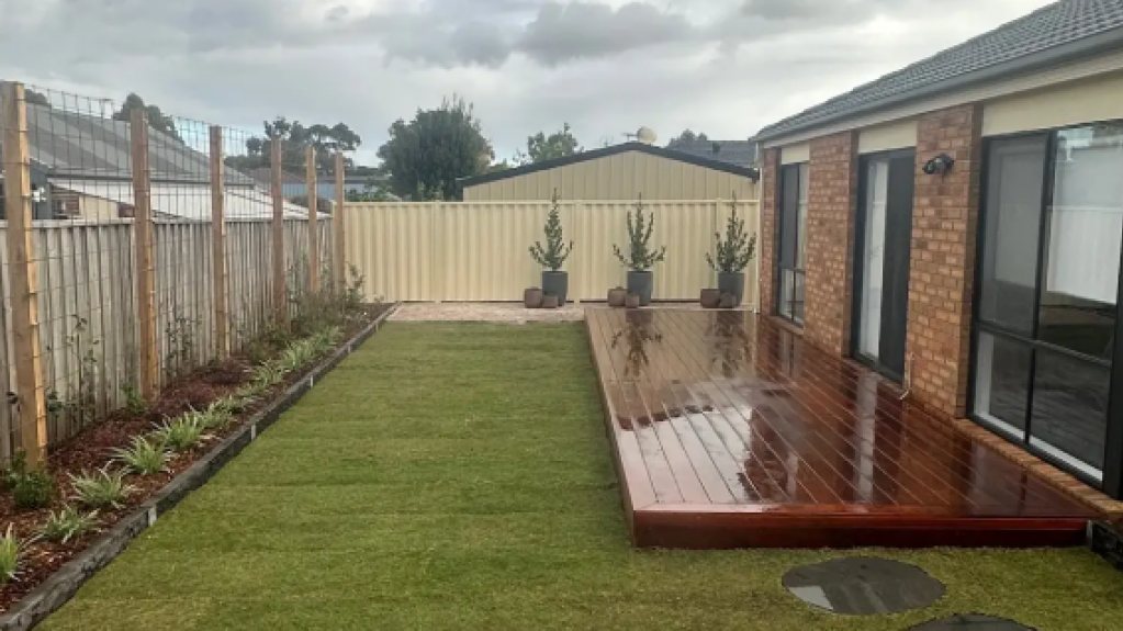 Freshly landscaped Lynbrook backyard with new TifTuf Bermuda turf, timber deck, and young garden plants along the fence.