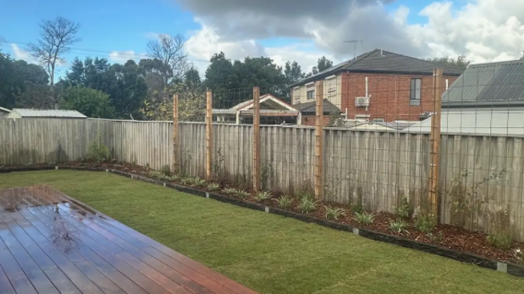 Lynbrook backyard featuring newly installed TifTuf Bermuda turf beside a wet timber deck and freshly planted garden bed.