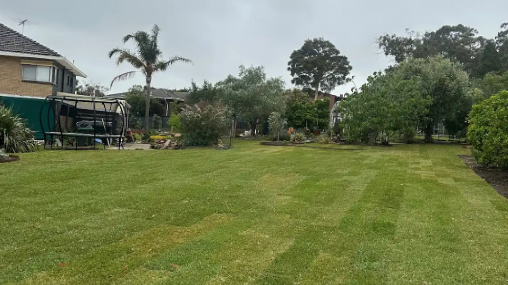 Freshly mowed residential lawn with striped grass