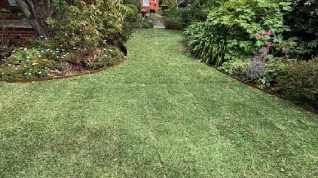 Stepping stone path through a lawn garden