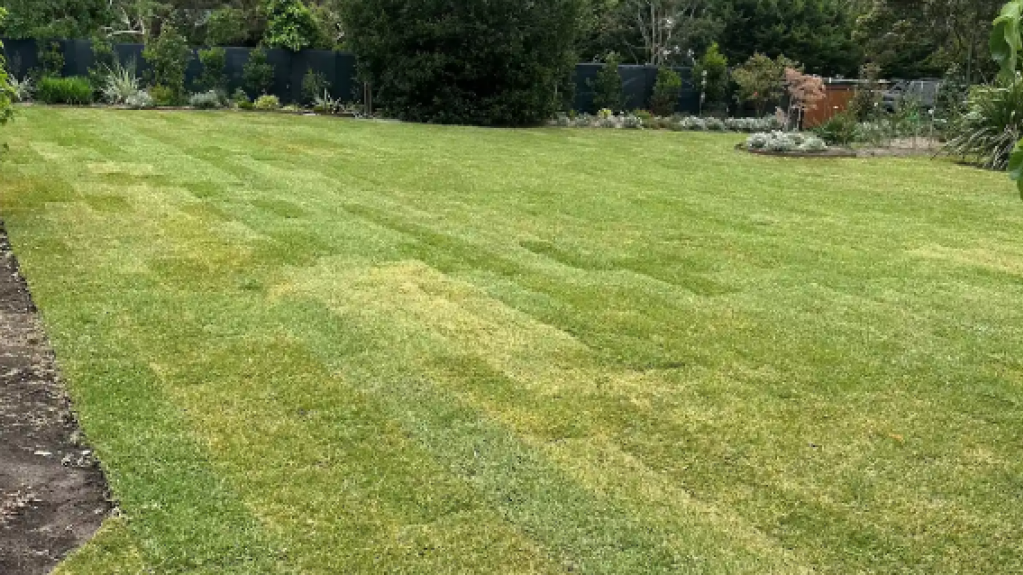 Large lawn with visible turf patchwork