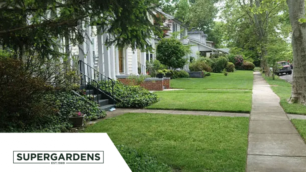 Leafy residential street with neatly mown front lawns and garden beds, featuring the Supergardens logo in the corner.