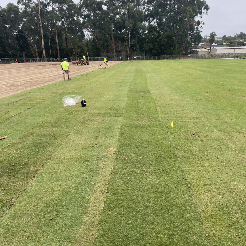 Sports field mid-renovation showing dirt infield on left, completed grass outfield on right, with workers in high-visibility gear marking measurements.