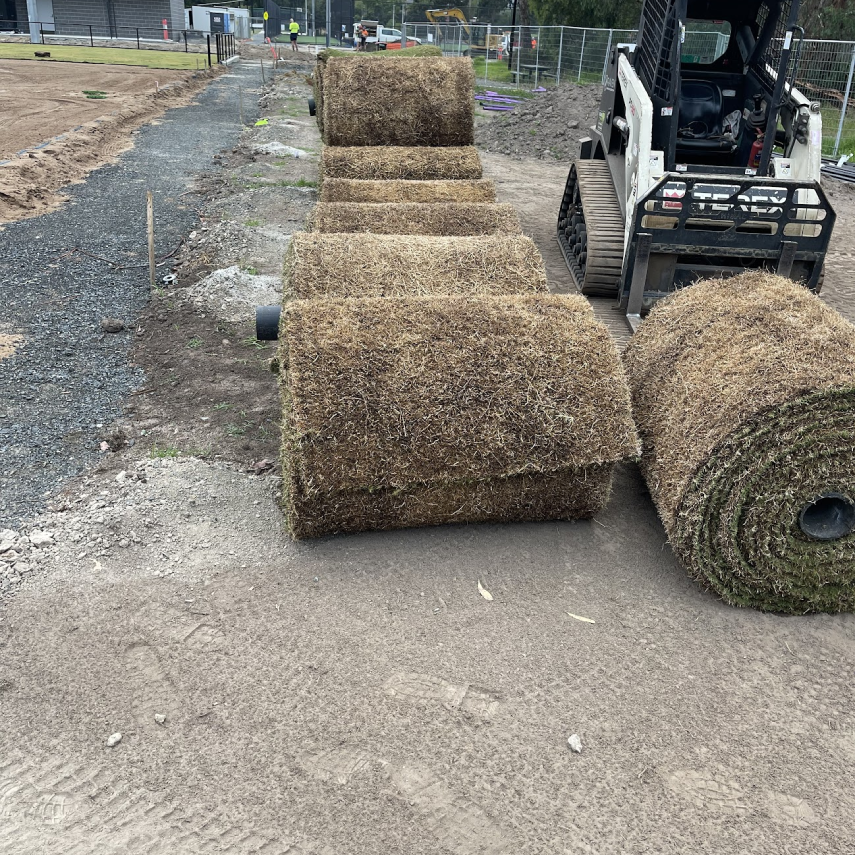 Stacked rolls of turf sod being delivered to site via bobcat loader during field renovation.