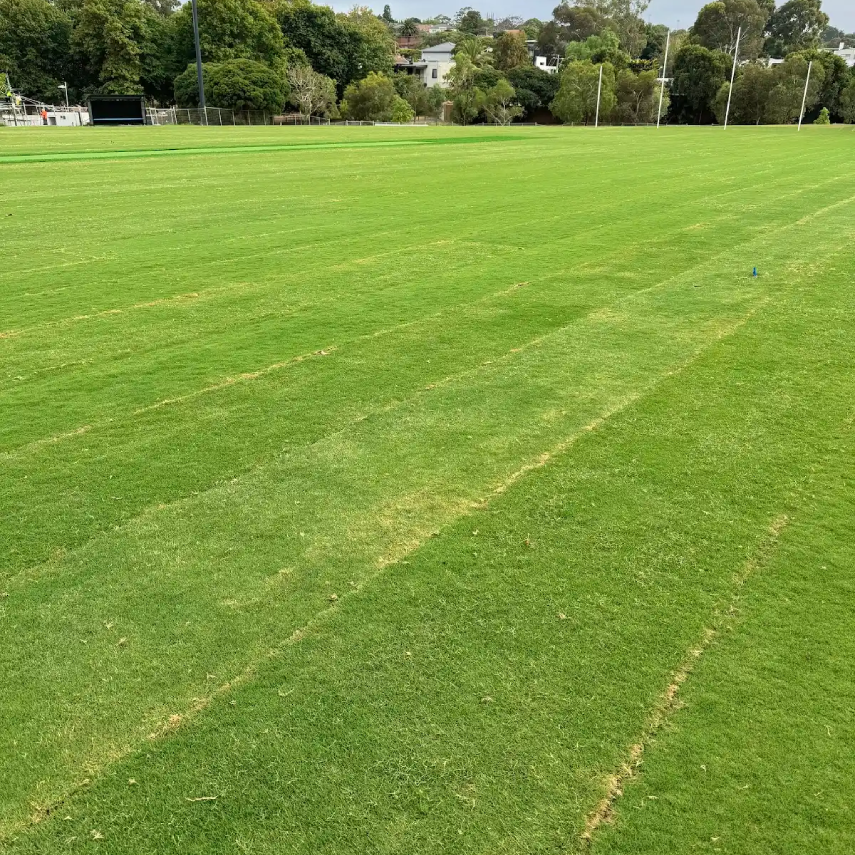 Completed green sports field with floodlights and tree line.