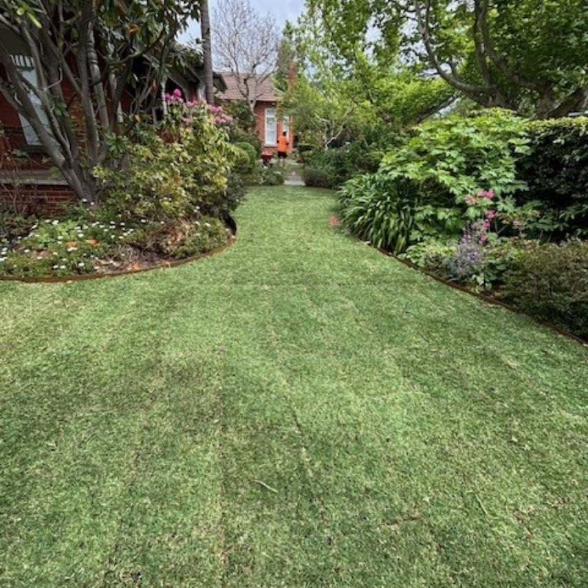 Curved front lawn bordered by established garden beds and shrubs
