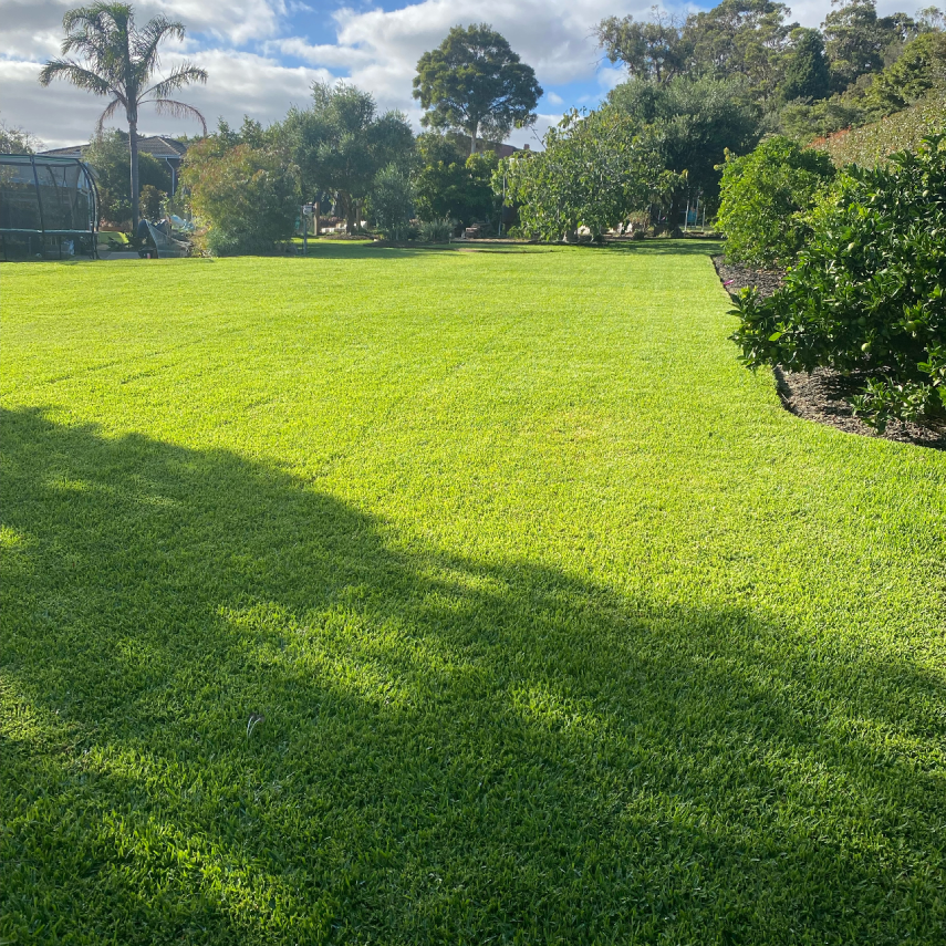 Expansive backyard lawn with trees and garden borders