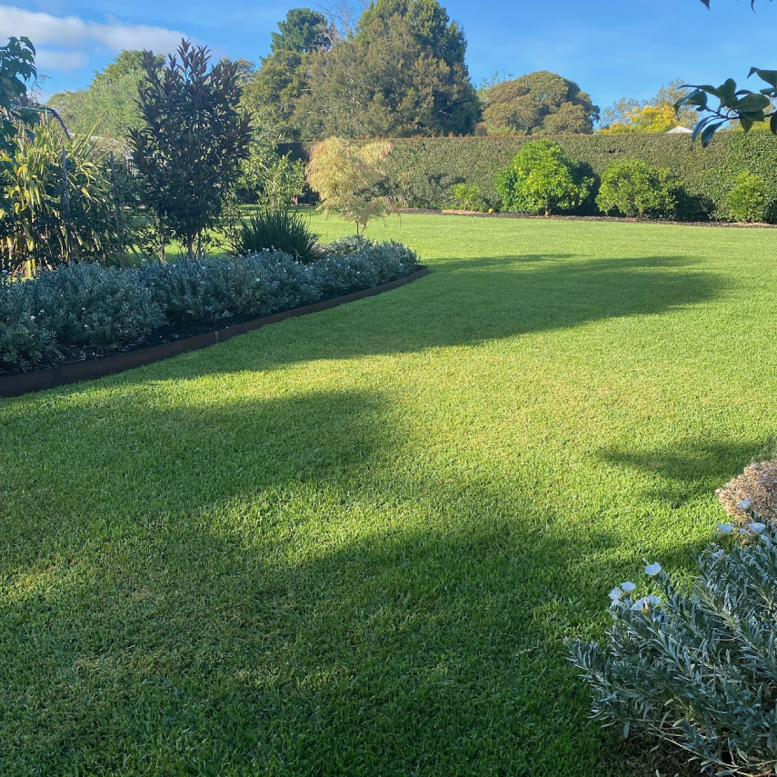 Large green lawn bordered by garden beds and hedges