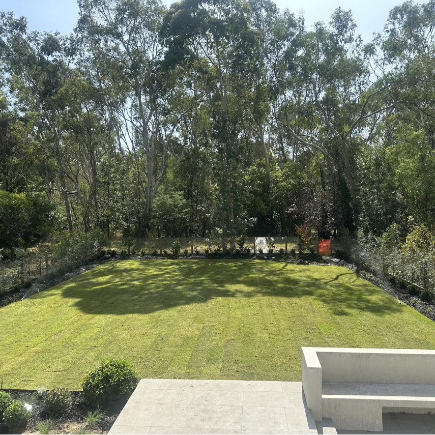Large newly laid lawn bordered by trees and garden beds