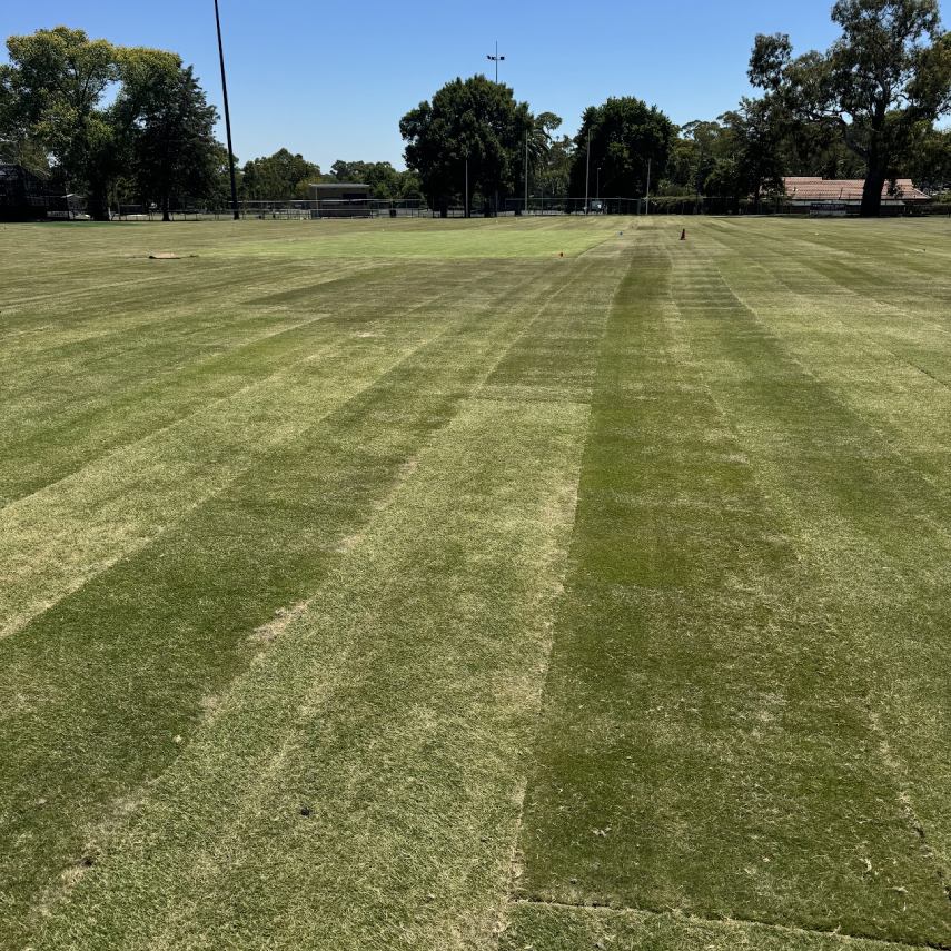 Completed sports field with uniform grass and visible installation seams.