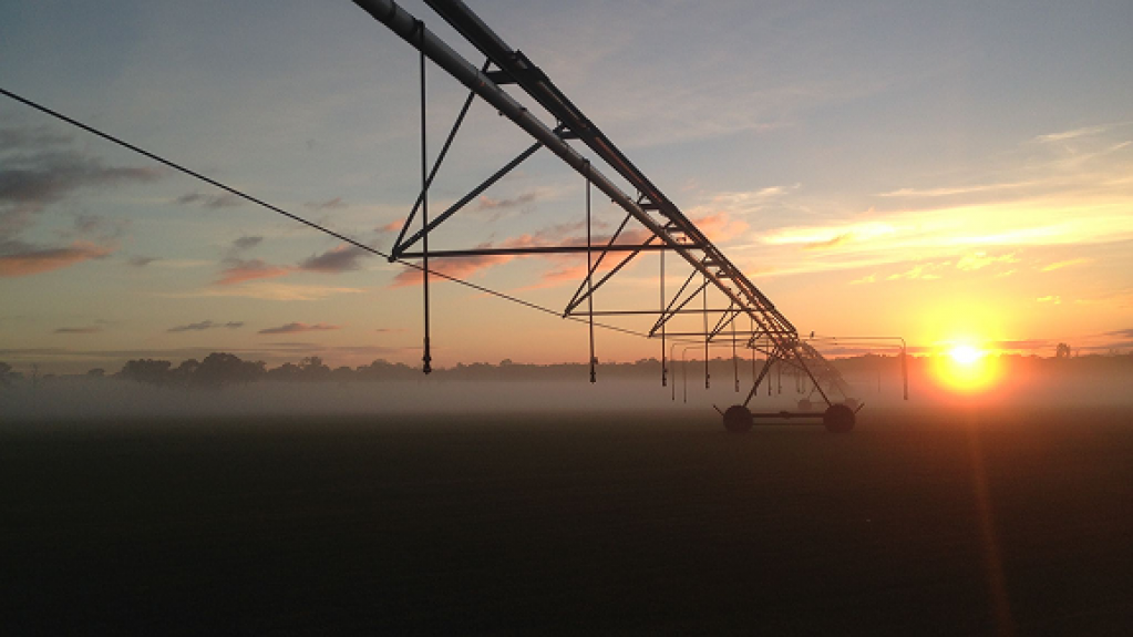 Centre pivot irrigation system over a turf farm at sunrise