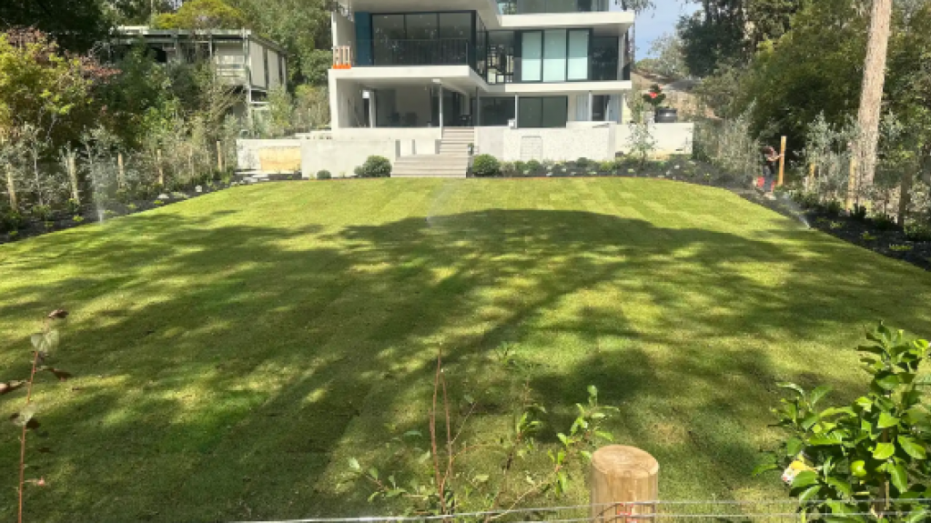 Large striped lawn in front of a modern home