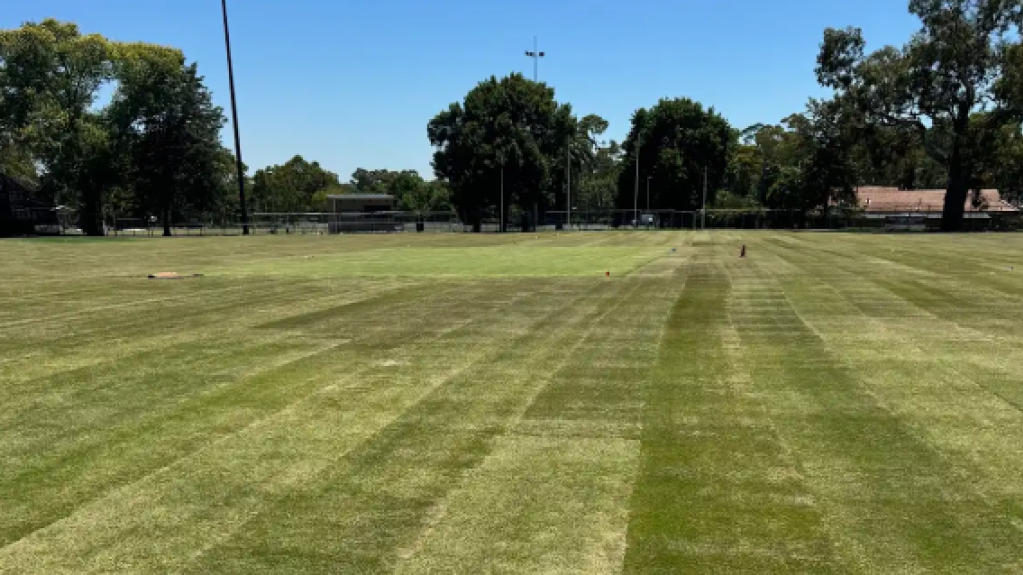 Newly installed TifTuf Bermuda turf at Victoria Park sports field.
