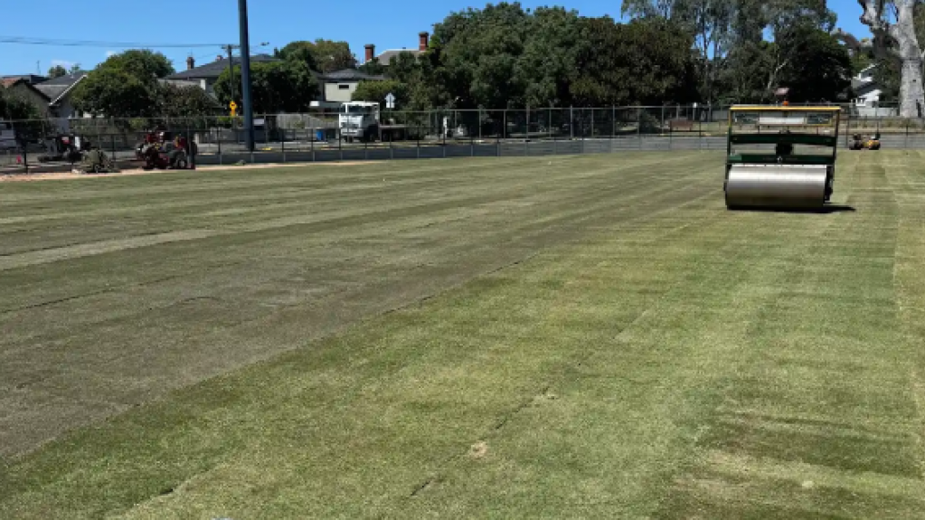 Sports field with turf roller and fresh grass