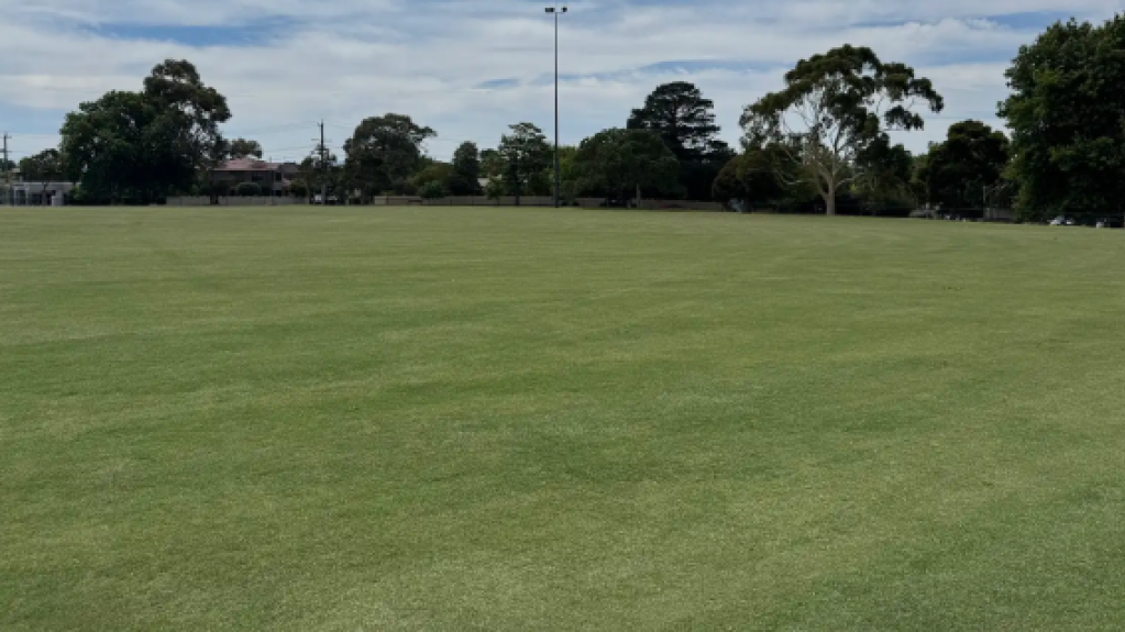 Freshly installed TifTuf Bermuda turf across the Watson Reserve sports field in Ashburton.