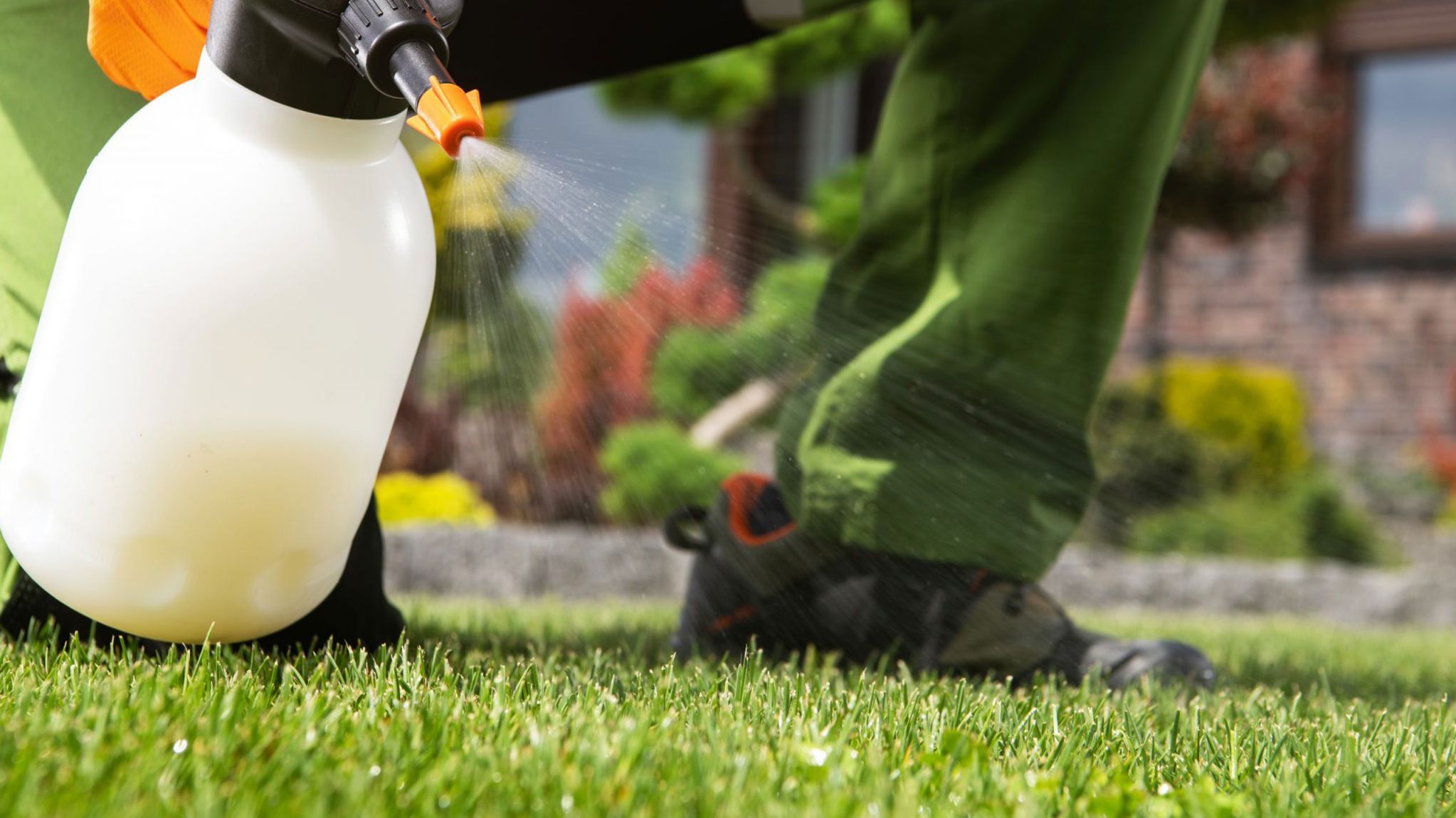 TifTuf Bermuda Melbourne Supplier Lilydale Instant Lawn