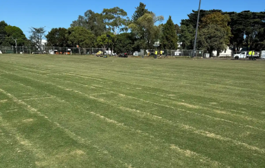 Expertly installed TifTuf Bermuda turf at Ashburton Reserve sports field.