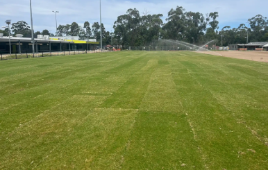 Newly installed TifTuf Bermuda Washed Maxi Rolls across Bellbird Park's upgraded sports field in Drouin.