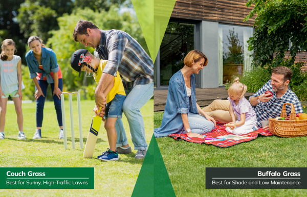 Split image comparing lawn types. Left shows a family playing cricket on couch grass, labeled best for sunny high-traffic lawns. Right shows a family having a picnic on buffalo grass, labeled best for shade and low maintenance.
