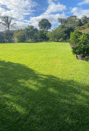 Mt Eliza large-scale lawn upgrade with freshly laid Sir Walter buffalo turf stretching across a sunny backyard, bordered by garden beds and trees.