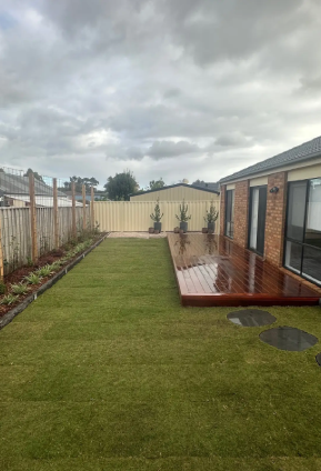 Backyard lawn finished with TifTuf Bermuda turf, creating a neat, even green lawn framed by garden beds and trees.