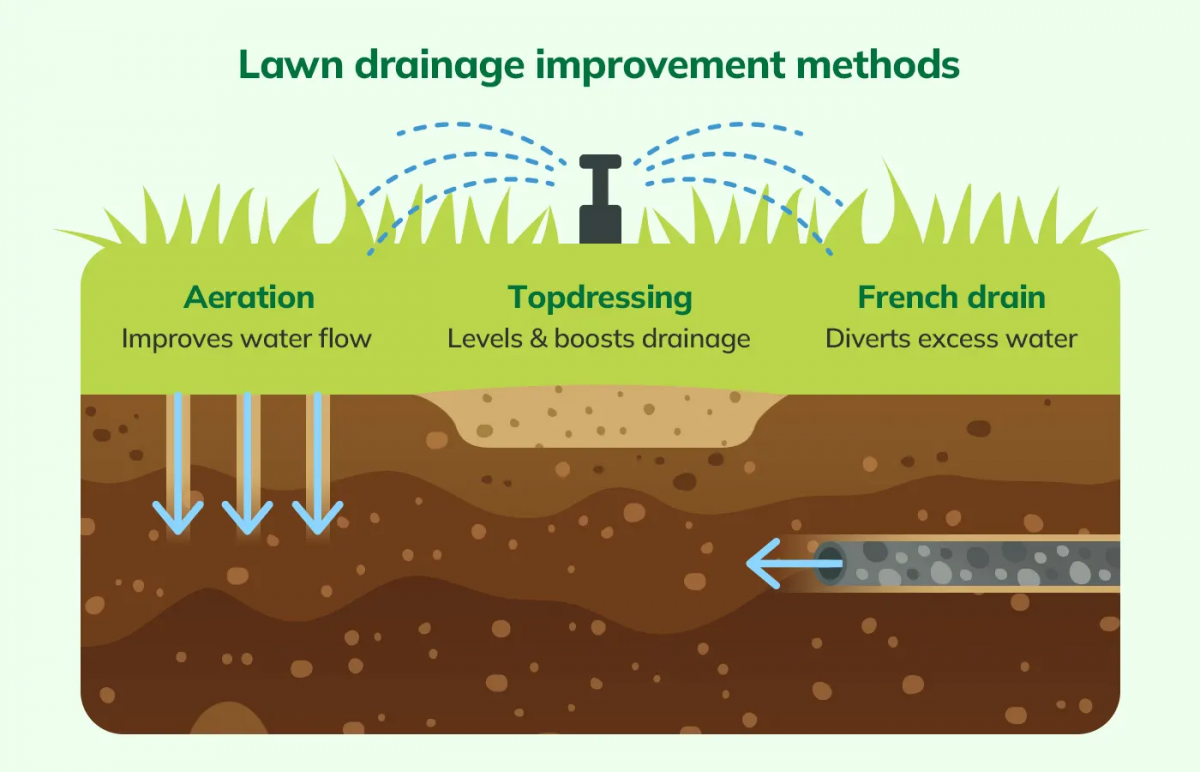 How to Improve Lawn Soil: Tips for Healthy Drainage