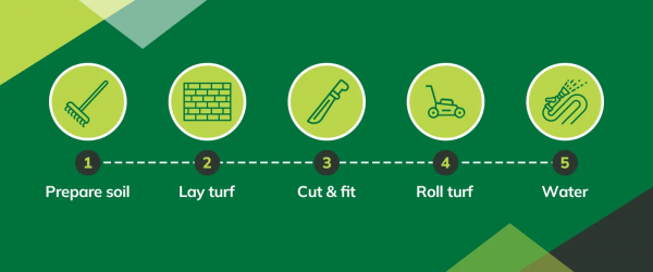 Infographic showing five steps for laying turf. Step 1: prepare soil. Step 2: lay turf. Step 3: cut and fit. Step 4: roll turf. Step 5: water.