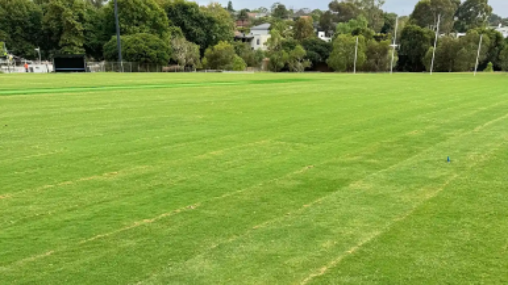 TifTuf Bermuda turf covering Lynden Park’s upgraded sports field in Camberwell.