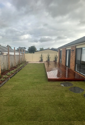 Even, freshly finished backyard lawn laid with TifTuf Bermuda turf, framed by garden beds and trees.