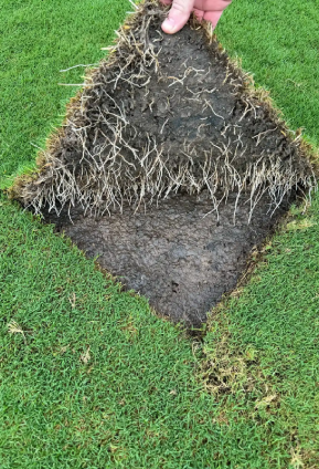 Hand lifting a square of turf to show thick grass roots and dark soil beneath on a green lawn.