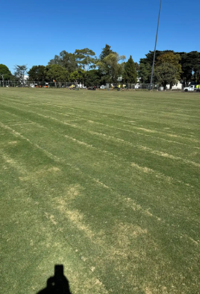 Large sports field with newly installed turf showing mower stripes, bordered by trees and fencing under a clear blue sky.