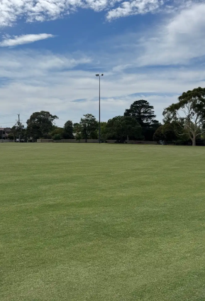 Wide, even green sports field with a light pole and surrounding trees under a partly cloudy sky.